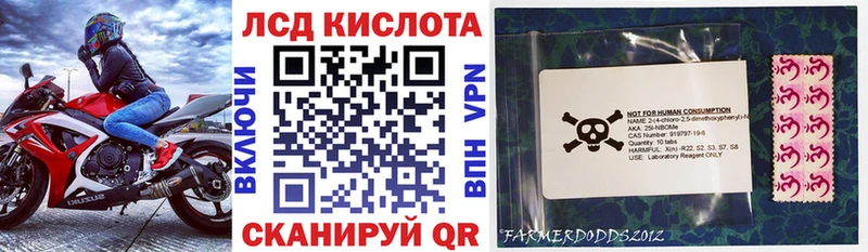 где можно купить наркотик  Тогучин  Наркотические марки 1,8мг 
