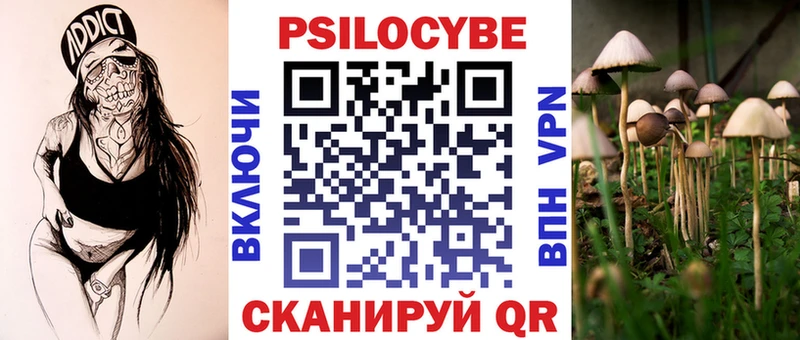 Псилоцибиновые грибы GOLDEN TEACHER  наркошоп  Тогучин 